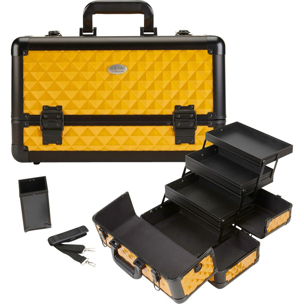 Pro Aluminum Makeup Train Case w/ Brush Holder